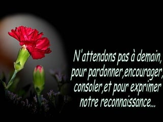 N'attendons pas à demain, pour pardonner,encourager, consoler,et pour exprimer notre reconnaissance... 