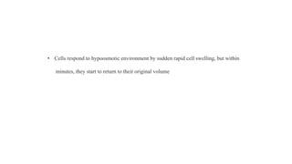 • Cells respond to hypoosmotic environment by sudden rapid cell swelling, but within
minutes, they start to return to their original volume
 