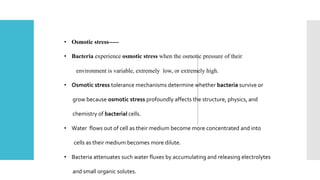 • Osmotic stress-----
• Bacteria experience osmotic stress when the osmotic pressure of their
environment is variable, extremely low, or extremely high.
• Osmotic stress tolerance mechanisms determine whether bacteria survive or
grow because osmotic stress profoundly affects the structure, physics, and
chemistry of bacterial cells.
• Water flows out of cell as their medium become more concentrated and into
cells as their medium becomes more dilute.
• Bacteria attenuates such water fluxes by accumulating and releasing electrolytes
and small organic solutes.
 