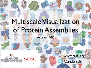 Multiscale Visualization
of Protein Assemblies
Andreas Prlić

www.rcsb.org
@andorsch

 
