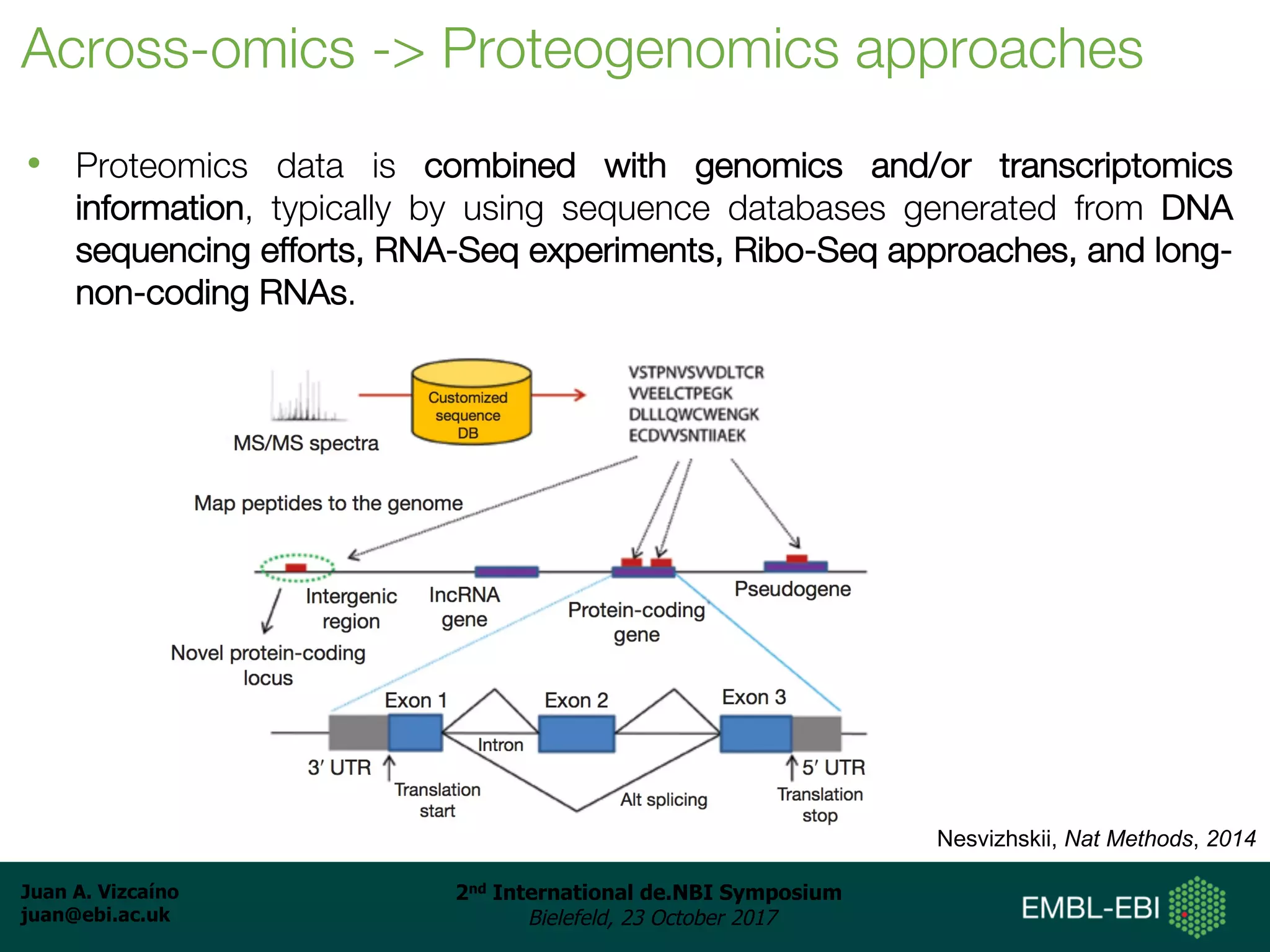 Juan A. Vizcaíno
juan@ebi.ac.uk
2nd International de.NBI Symposium
Bielefeld, 23 October 2017
Across-omics -> Proteogenomics approaches
• Proteomics data is combined with genomics and/or transcriptomics
information, typically by using sequence databases generated from DNA
sequencing efforts, RNA-Seq experiments, Ribo-Seq approaches, and long-
non-coding RNAs.
Nesvizhskii, Nat Methods, 2014
 