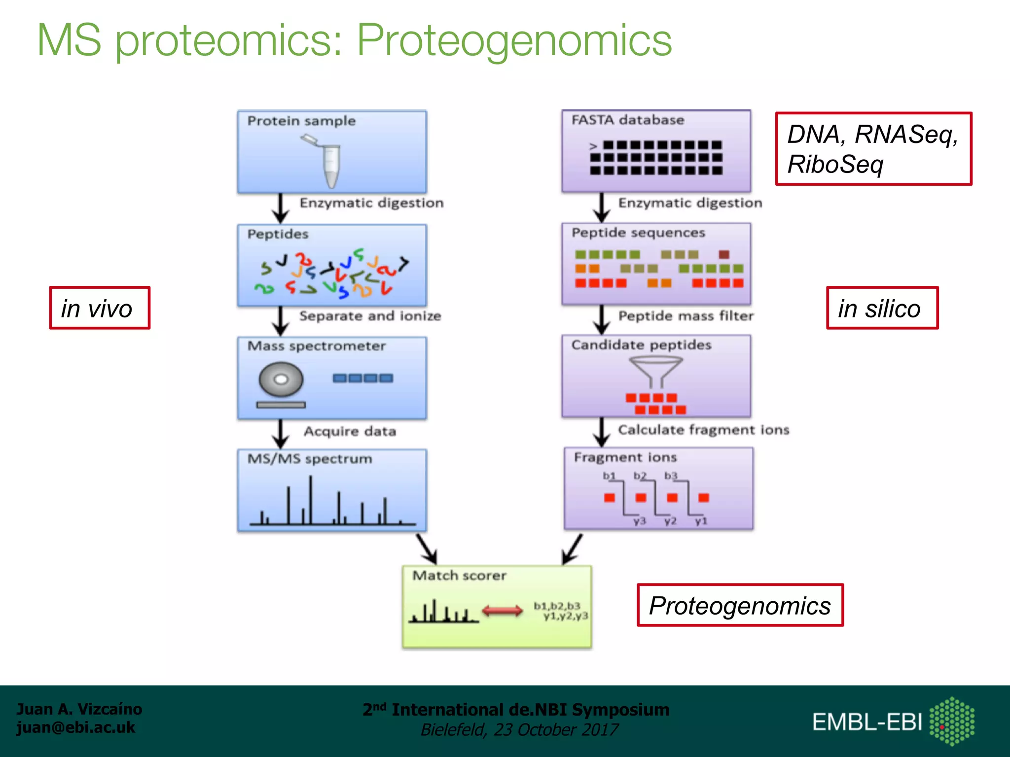 Juan A. Vizcaíno
juan@ebi.ac.uk
2nd International de.NBI Symposium
Bielefeld, 23 October 2017
MS proteomics: Proteogenomics
in vivo in silico
DNA, RNASeq,
RiboSeq
Proteogenomics
 