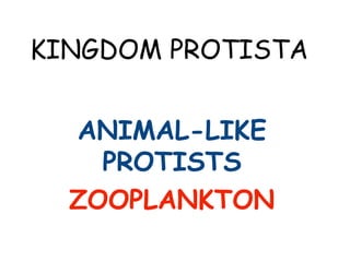 KINGDOM PROTISTA
ANIMAL-LIKE
PROTISTS
ZOOPLANKTON
 