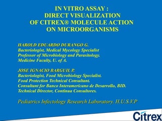 IN VITRO ASSAY :   DIRECT VISUALIZATION  OF CITREX® MOLECULE ACTION  ON MICROORGANISMS ,[object Object],[object Object],[object Object],[object Object],[object Object],[object Object],[object Object],[object Object],[object Object],[object Object]