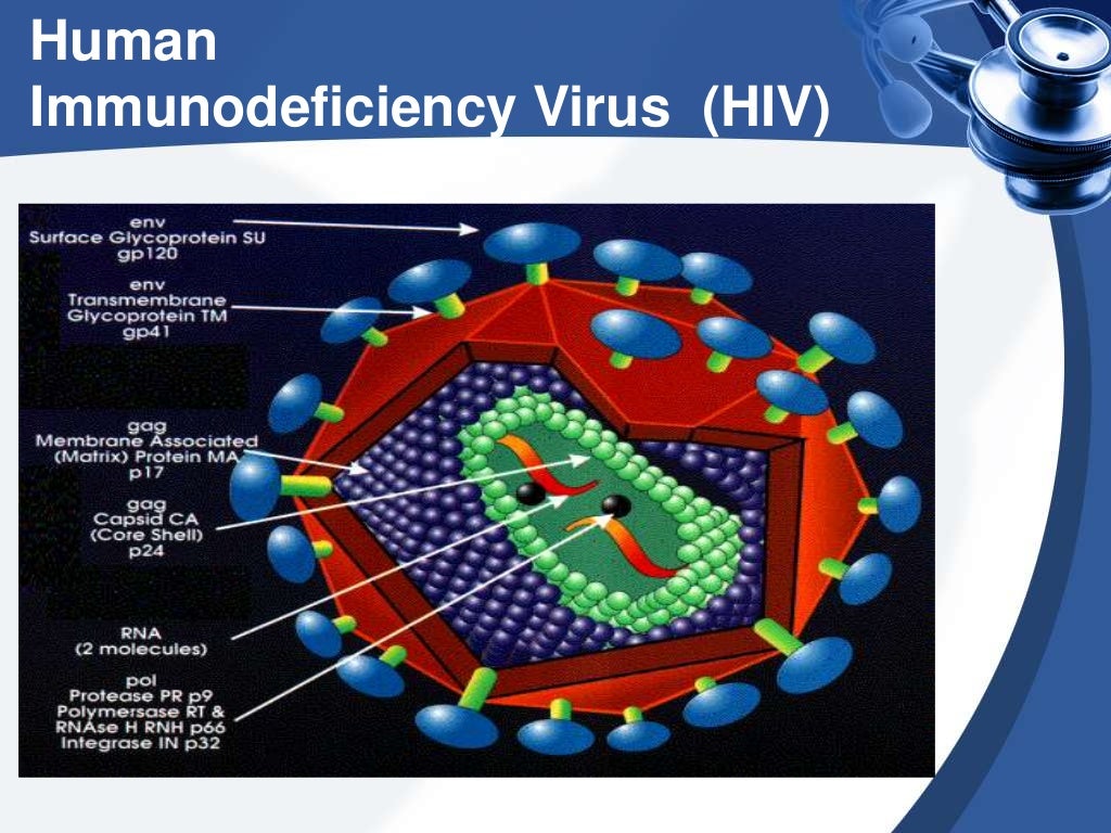 Single Infectious Agent Define Antiretroviral Drugs _ Facebook – TYBN