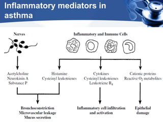 Inflammatory mediators in
asthma
 