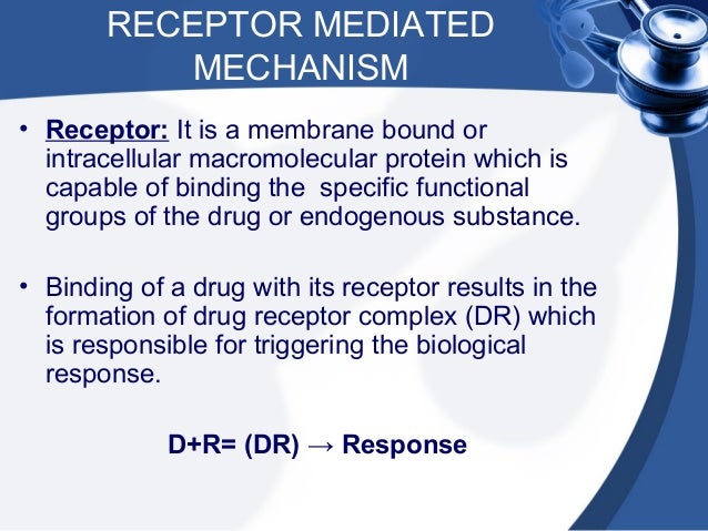 The Drug Target And Mechanism Of Action The Drug Target And Mechanism Of Action