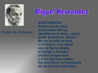 Miguel Hernandez ACEITUNEROS Andaluces de Jaén,  aceituneros altivos,  decidme en el alma: ¿quién,  quién levantó los olivos?  No los levantó la nada,  ni el dinero, ni el señor,  sino la tierra callada,  el trabajo y el sudor.  Unidos al agua pura  y a los planetas unidos,  los tres dieron la hermosura  de los troncos retorcidos Poeta de Orihuela 