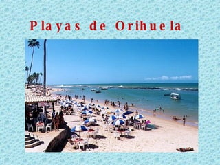 Playas de Orihuela 