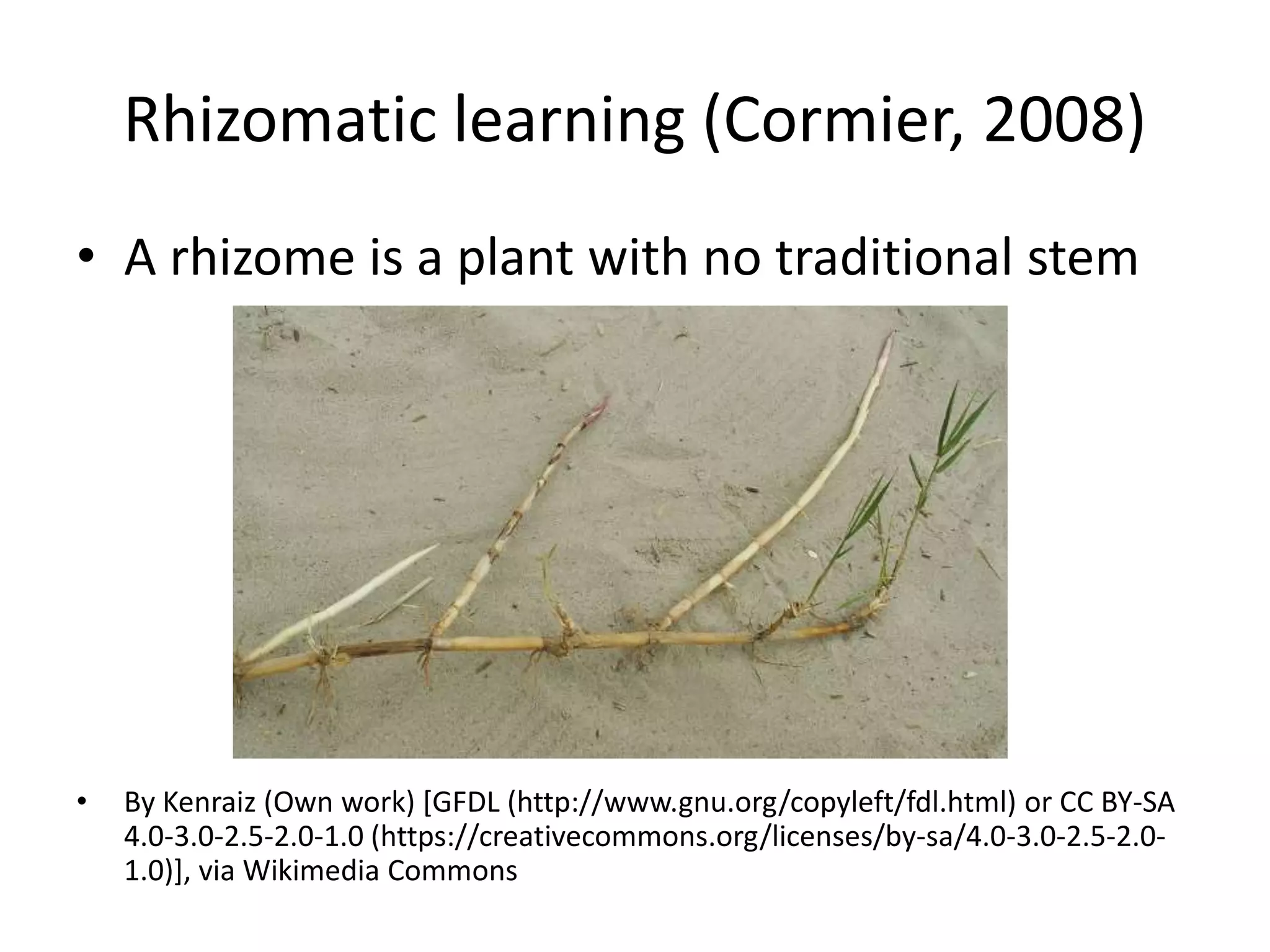 Rhizomatic learning (Cormier, 2008)
• A rhizome is a plant with no traditional stem
• By Kenraiz (Own work) [GFDL (http://www.gnu.org/copyleft/fdl.html) or CC BY-SA
4.0-3.0-2.5-2.0-1.0 (https://creativecommons.org/licenses/by-sa/4.0-3.0-2.5-2.0-
1.0)], via Wikimedia Commons
 