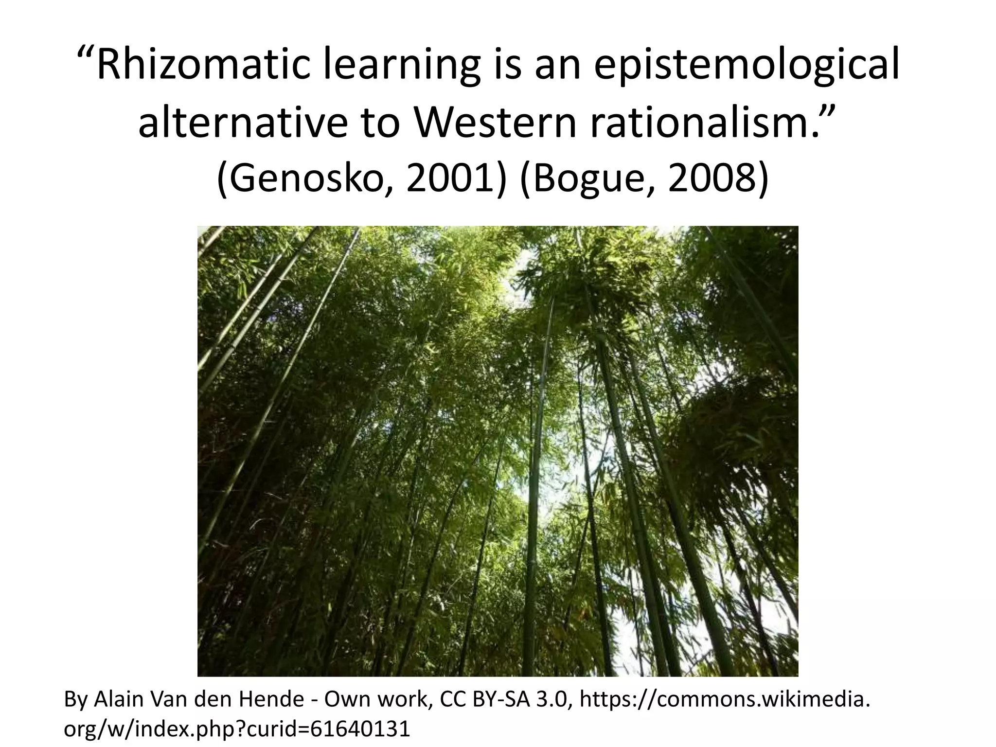 “Rhizomatic learning is an epistemological
alternative to Western rationalism.”
(Genosko, 2001) (Bogue, 2008)
By Alain Van den Hende - Own work, CC BY-SA 3.0, https://commons.wikimedia.
org/w/index.php?curid=61640131
 