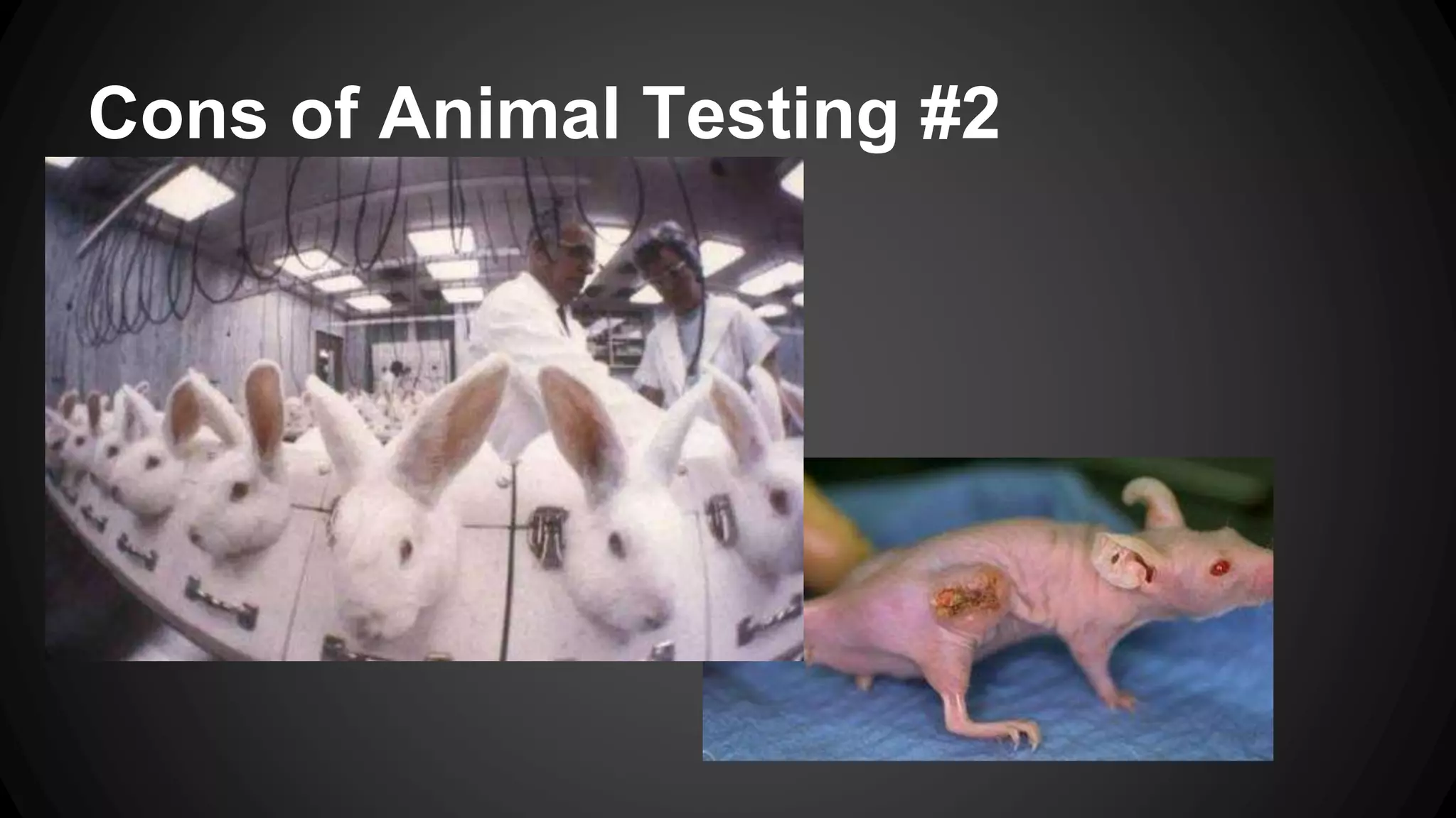 cons against animal experimentation