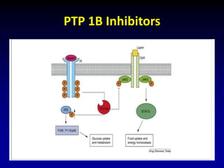 PTP 1B Inhibitors
 