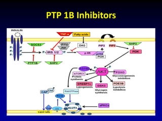 PTP 1B Inhibitors
 