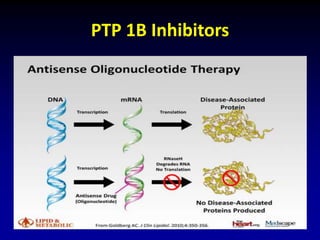 PTP 1B Inhibitors
 