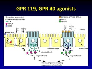 GPR 119, GPR 40 agonists
 