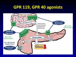 GPR 119, GPR 40 agonists
 