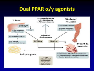 Dual PPAR α/γ agonists
 