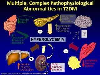peripheral
glucose
uptake
hepatic
glucose
production
pancreatic
insulin
secretion
pancreatic
glucagon
secretion
gut
carbohydrate
delivery &
absorption
incretin
effect
HYPERGLYCEMIA
?
Adapted from: Inzucchi SE, Sherwin RS in: Cecil Medicine 2011
Multiple, Complex Pathophysiological
Abnormalities in T2DM
_
_
+
renal
glucose
excretion
 