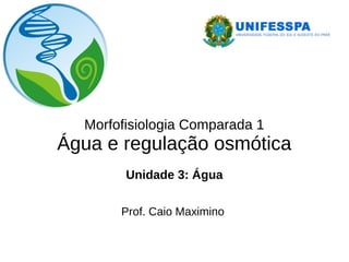 Morfofisiologia Comparada 1
Água e regulação osmótica
Unidade 3: Água
Prof. Caio Maximino
 