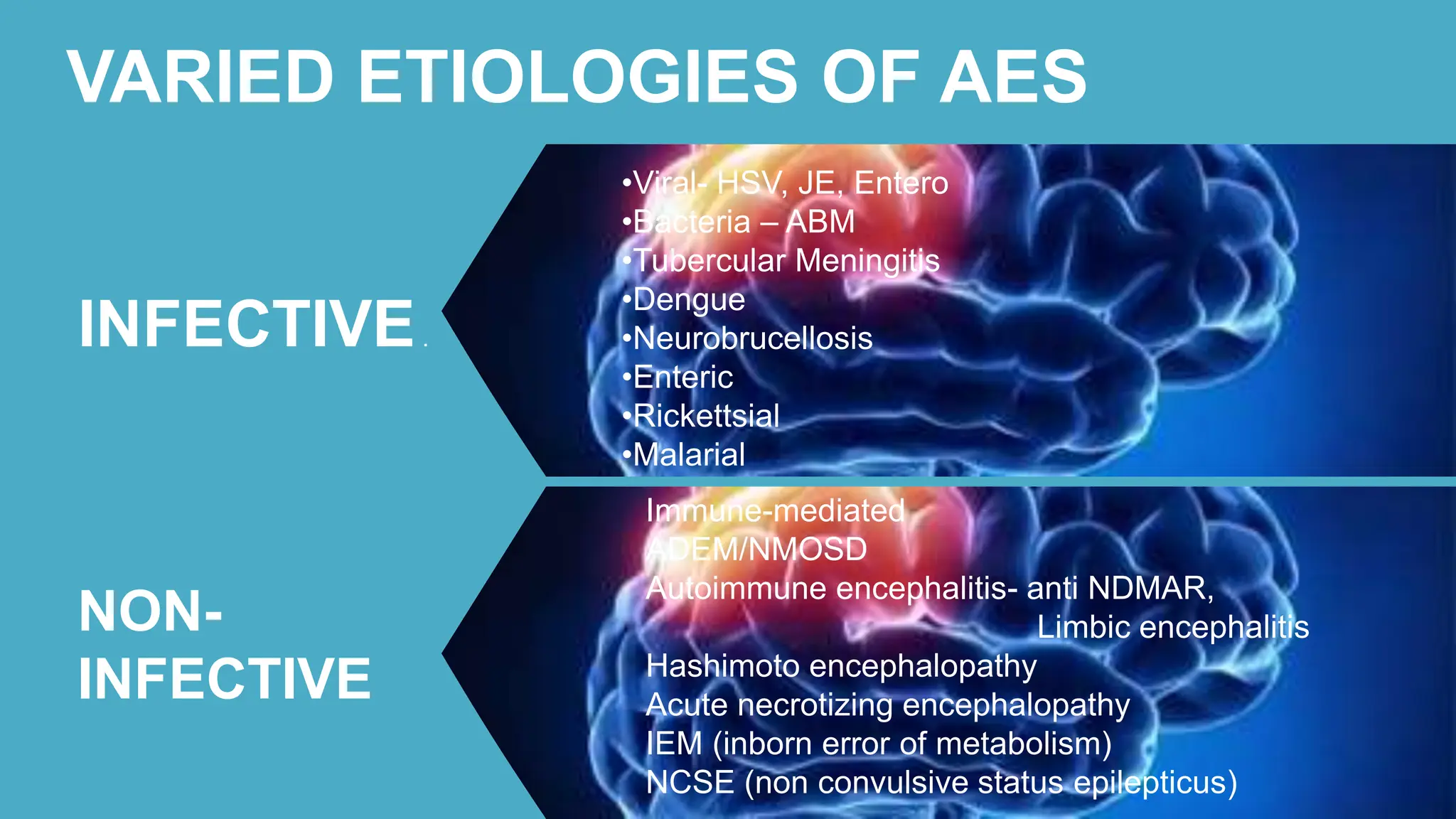 acute encephalitis syndrome | PPTX