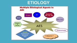 acute encephalitis syndrome | PPTX