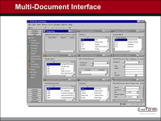 Multi-Document Interface 