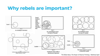 Why rebels are important?
The Rebel Ideas: The Power of Diverse Thinking – Matthew Syed
 