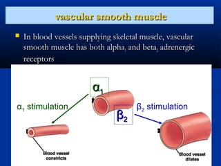 vascular smooth muscle


In blood vessels supplying skeletal muscle, vascular
smooth muscle has both alpha1 and beta2 adrenergic
receptors

α1
α1 stimulation

β2

β2 stimulation

 