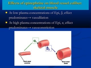 Effects of epinephrine on blood vessel caliber:
skeletal muscle




At low plasma concentrations of Epi, β2 effect
predominates→ vasodilation
At high plasma concentrations of Epi, α1 effect
predominates→ vasoconstriction

α1
β2

 