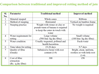 Comparison between traditional and improved retting method of jute
 