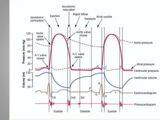 diastolic dysfunction | PPTX