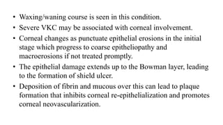 • Waxing/waning course is seen in this condition.
• Severe VKC may be associated with corneal involvement.
• Corneal changes as punctuate epithelial erosions in the initial
stage which progress to coarse epitheliopathy and
macroerosions if not treated promptly.
• The epithelial damage extends up to the Bowman layer, leading
to the formation of shield ulcer.
• Deposition of fibrin and mucous over this can lead to plaque
formation that inhibits corneal re-epithelialization and promotes
corneal neovascularization.
 