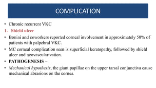 COMPLICATION
• Chronic recurrent VKC
1. Shield ulcer
• Bonini and coworkers reported corneal involvement in approximately 50% of
patients with palpebral VKC.
• MC corneal complication seen is superficial keratopathy, followed by shield
ulcer and neovascularization.
• PATHOGENESIS –
• Mechanical hypothesis, the giant papillae on the upper tarsal conjunctiva cause
mechanical abrasions on the cornea.
 