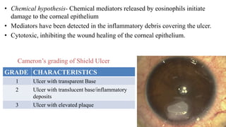 • Chemical hypothesis- Chemical mediators released by eosinophils initiate
damage to the corneal epithelium
• Mediators have been detected in the inflammatory debris covering the ulcer.
• Cytotoxic, inhibiting the wound healing of the corneal epithelium.
GRADE CHARACTERISTICS
1 Ulcer with transparent Base
2 Ulcer with translucent base/inflammatory
deposits
3 Ulcer with elevated plaque
Cameron’s grading of Shield Ulcer
 