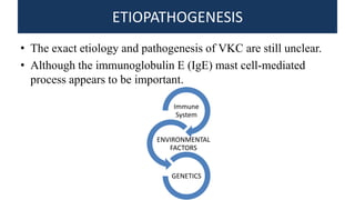 ETIOPATHOGENESIS
• The exact etiology and pathogenesis of VKC are still unclear.
• Although the immunoglobulin E (IgE) mast cell-mediated
process appears to be important.
Immune
System
ENVIRONMENTAL
FACTORS
GENETICS
 