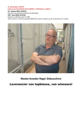 31. Nat Bourges 22.499 d.
Volle zus van New Molleke NL13-3346925: 1. NPO Orleans 15.867 d.
GV : Kapoen BE07-3129273
Kleinzoon van kweekicoon Bliksem Vandenabeele
GM : Tonia BE06-3124758
Moeder van Molleke, beste YL 2009
Half-zus Gloria: 2. Nat Ace Long Dist KBDB 2013. Gloria is moeder van de 1e Nat Gueret YL in 2014.
Master-breeder Roger Debusschere
Leverancier van topklasse, van winnaars!
 