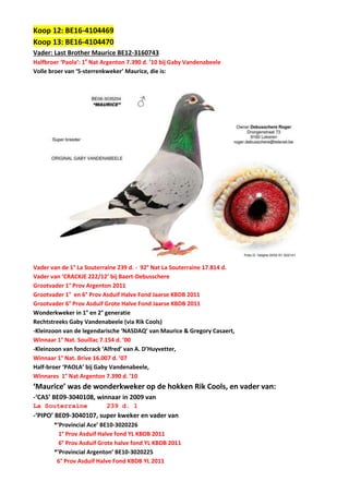 Koop 12: BE16-4104469
Koop 13: BE16-4104470
Vader: Last Brother Maurice BE12-3160743
Halfbroer ‘Paola’: 1e
Nat Argenton 7.390 d. ’10 bij Gaby Vandenabeele
Volle broer van ‘5-sterrenkweker’ Maurice, die is:
Vader van de 1° La Souterraine 239 d. - 92° Nat La Souterraine 17.814 d.
Vader van ‘CRACKJE 222/12’ bij Baert-Debusschere
Grootvader 1° Prov Argenton 2011
Grootvader 1° en 6° Prov Asduif Halve Fond Jaarse KBDB 2011
Grootvader 6° Prov Asduif Grote Halve Fond Jaarse KBDB 2011
Wonderkweker in 1° en 2° generatie
Rechtstreeks Gaby Vandenabeele (via Rik Cools)
-Kleinzoon van de legendarische ‘NASDAQ’ van Maurice & Gregory Casaert,
Winnaar 1° Nat. Souillac 7.154 d. ’00
-Kleinzoon van fondcrack ‘Alfred’ van A. D’Huyvetter,
Winnaar 1° Nat. Brive 16.007 d. ’07
Half-broer ‘PAOLA’ bij Gaby Vandenabeele,
Winnares 1° Nat Argenton 7.390 d. ’10
‘Maurice’ was de wonderkweker op de hokken Rik Cools, en vader van:
-‘CAS’ BE09-3040108, winnaar in 2009 van
La Souterraine 239 d. 1
-‘PIPO’ BE09-3040107, super kweker en vader van
*’Provincial Ace’ BE10-3020226
1° Prov Asduif Halve fond YL KBDB 2011
6° Prov Asduif Grote halve fond YL KBDB 2011
*’Provincial Argenton’ BE10-3020225
6° Prov Asduif Halve Fond KBDB YL 2011
 