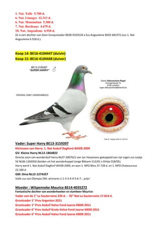 1. Nat. Tulle 5.700 d.
6. Nat. Limoges 12.313 d.
6. Nat. Montauban 5.300 d.
7. Nat. Bordeaux 4.479 d.
10. Nat. Angouleme 6.918 d.
Ze is een dochter van Zoon Conquistador BE00-9103534 x Zus Angouleme BE02-681972 (zus 1. Nat
Angouleme 6.918 d.).
Koop 14: BE16-4104447 (duivin)
Koop 15: BE16-4104448 (duiver)
Vader: Super Harry BE13-3159397
Kleinzoon van Harry: 1. Nat Asduif Dagfond WHZB 2009
GV: Kleine Harry NL12-1864822
Directe zoon van wonderduif Harry NL07-2007621 van Jan Hooymans gekoppeld aan zijn eigen zus Laatje
56 NL06-1266956 (beiden uit het wonderkoppel Jonge Bliksem 512/01 x Dirkje 558/05).
Harry werd 1. Nat Asduif Dagfonf WHZB 2009, en won 1. NPO Blois 37.728 d. en 1. NPO Chateauroux
22.340 d.
GM: Dina NL12-1274327
Volle zus van Olympia 246: winnares 1-1-3-3-4-4-5-6-7… prijs!
Moeder : Witpenneke Maurice BE14-4035272
Fantastische dochter van wonderkweker en stambeer Maurice:
Vader van de 1° La Souterraine 239 d. - 92° Nat La Souterraine 17.814 d.
Grootvader 1° Prov Argenton 2011
Grootvader 1° Prov Asduif Halve Fond Jaarse KBDB 2011
Grootvader 6° Prov Asduif Grote Halve Fond Jaarse KBDB 2011
Grootvader 6° Prov Asduif Halve Fond Jaarse KBDB 2011
 