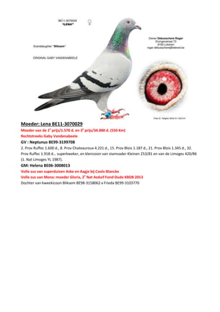 Moeder: Lena BE11-3070029
Moeder van de 1e
prijs/1.570 d. en 3e
prijs/34.000 d. (550 Km)
Rechtstreeks Gaby Vandenabeele
GV : Neptunus BE99-3199708
2. Prov Ruffec 1.600 d., 8. Prov Chateauroux 4.221 d., 15. Prov Blois 1.187 d., 21. Prov Blois 1.345 d., 32.
Prov Ruffec 1.918 d… superkweker, en kleinzoon van stamvader Kleinen 253/81 en van de Limoges 420/86
(1. Nat Limoges YL 1987).
GM: Helena BE06-3008013
Volle zus van superduiven Aske en Aagje bij Cools-Blancke
Volle zus van Mona: moeder Gloria, 2e
Nat Asduif Fond Oude KBDB 2013
Dochter van kweekicoon Bliksem BE98-3158062 x Frieda BE99-3103770
 