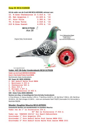 Koop 20: BE16-4104438
Uit de vader van de Crack 040 BE14-4035040, winnaar van:
12. N.Zone Chateauroux II 5.614 d. ’15
28. Nat Argenton I 13.629 d. ’16
47. Prov Tulle 1.383 d. ’16
70. N.Zone Tulle 2.518 d. ’16
210 N.Zone Gueret 4.878 d. ’15
Vader: ACE 28-Gaby Vandenabeele BE10-3179328
Vader van de Crack 040 BE14-4035040
Zoon 2. Nat Asduif Halve Fond KBDB
Rechtstreeks Gaby Vandenabeele.
GV: Super AS BE02-5030266
2. Nat Asduif Halve Fond KBDB
1. Montluçon 2.303 d.
2. Chateauroux 920 d.
3. Sens 614 d.
4. Bourges 3.407 d.
11. Na Chateauroux 12.422 d.
GM : Sister Falco BE03-3003446
Nestzus van vlieg- en kweeklegende Falco bij Gaby Vandenabeele
2. Prov Orleans, 2. Intprov Souillac 1.291 d., 7. Nat Brive 16.007 d., 42. Nat Brive 7.204 d., 105. Nat Brive
20.310 d., 132. Nat Limoges 12.260 d…. zoon van sterkweker Noël 754/97 (stamvader Eric Vermander) x
Mathilde 909/99
Moeder: Daughter Maurice BE13-4270331
Fantastische dochter van wonderkweker en stambeer Maurice:
Vader van de 1° La Souterraine 239 d.
92° Nat La Souterraine 17.814 d.
Vader van ‘CRACKJE 222/12’ bij Baert-Debusschere
Grootvader 1° Prov Argenton 2011
Grootvader 1° Prov Asduif Halve Fond Jaarse KBDB 2011
Grootvader 6° Prov Asduif Grote Halve Fond Jaarse KBDB 2011
 