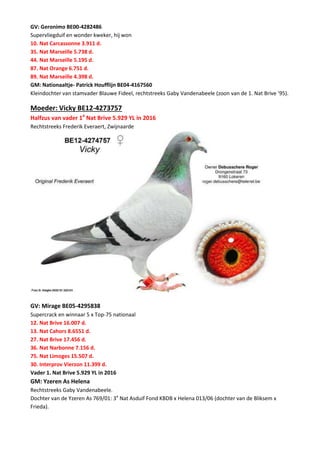 GV: Geronimo BE00-4282486
Supervliegduif en wonder kweker, hij won
10. Nat Carcassonne 3.911 d.
35. Nat Marseille 5.738 d.
44. Nat Marseille 5.195 d.
87. Nat Orange 6.751 d.
89. Nat Marseille 4.398 d.
GM: Nationaaltje- Patrick Houfflijn BE04-4167560
Kleindochter van stamvader Blauwe Fideel, rechtstreeks Gaby Vandenabeele (zoon van de 1. Nat Brive ’95).
Moeder: Vicky BE12-4273757
Halfzus van vader 1e
Nat Brive 5.929 YL in 2016
Rechtstreeks Frederik Everaert, Zwijnaarde
GV: Mirage BE05-4295838
Supercrack en winnaar 5 x Top-75 nationaal
12. Nat Brive 16.007 d.
13. Nat Cahors 8.6551 d.
27. Nat Brive 17.456 d.
36. Nat Narbonne 7.156 d.
75. Nat Limoges 15.507 d.
30. Interprov Vierzon 11.399 d.
Vader 1. Nat Brive 5.929 YL in 2016
GM: Yzeren As Helena
Rechtstreeks Gaby Vandenabeele.
Dochter van de Yzeren As 769/01: 3e
Nat Asduif Fond KBDB x Helena 013/06 (dochter van de Bliksem x
Frieda).
 