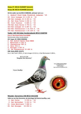 Koop 27: BE16-4104407 (duivin)
Koop 28: BE16-4104408 (duiver)
Uit de vader van de BE13-4286326, winnaar van o.a.:
1. Asduif Fond Oude Fondclub Lokeren ’15
43. Prov Limoges II 2.201 d. ’15
142 Nat Limoges II 8.303 d. ’15
44. Nat Zone Tulle 2.432 d. ’15
82. Prov Vierzon 5.825 d. ’16
306 Nat Zone Brive 3.703 d. ’15
410 Nat Limoges II 6.907 d. ’14
616 Nat Chateauroux I 21.515 d. ’14
975 Nat Chateauroux I 25.126 d. ’16
Vader: ACE 44-Gaby Vandenabeele BE12-3160744
Zoon 2. Nat Asduif Halve Fond KBDB
Rechtstreeks Gaby Vandenabeele.
GV: Super AS BE02-5030266
2. Nat Asduif Halve Fond KBDB
1. Montluçon 2.303 d.
2. Chateauroux 920 d.
3. Sens 614 d.
4. Bourges 3.407 d.
11. Na Chateauroux 12.422 d.
GM: Ketty BE05-161371
Zus 1. Nat Tulle 5.700 d., 6. Nat Limoges 12.313 d., 6. Nat Montauban 5.300 d…
Moeder: Geronimo 236 BE12-4311236
Volle zus van Star Geronimo, de stervlieger bij Patrick Houfflijn, met:
2. Nat Tulle 5.976 d. ’14
2. Nat Montauban 5.933 d. ‘15
11. Zone Montluçon 7.828 d.
28. Nat Bourges 16.859 d.
 