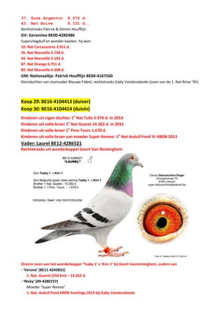 37. Zone Argenton 8.476 d.
43. Nat Brive 8.331 d….
Rechtstreeks Patrick & Dimitri Houfflijn
GV: Geronimo BE00-4282486
Supervliegduif en wonder kweker, hij won
10. Nat Carcassonne 3.911 d.
35. Nat Marseille 5.738 d.
44. Nat Marseille 5.195 d.
87. Nat Orange 6.751 d.
89. Nat Marseille 4.398 d.
GM: Nationaaltje- Patrick Houfflijn BE04-4167560
Kleindochter van stamvader Blauwe Fideel, rechtstreeks Gaby Vandenabeele (zoon van de 1. Nat Brive ’95).
Koop 29: BE16-4104413 (duiver)
Koop 30: BE16-4104414 (duivin)
Kinderen uit eigen dochter 1e
Nat Tulle 5.976 d. in 2014
Kinderen uit volle broer 1e
Nat Gueret 14.362 d. in 2011
Kinderen uit volle broer 1e
Prov Tours 1.670 d.
Kinderen uit volle broer van moeder Super Romeo: 1e
Nat Asduif Fond YL KBDB 2013
Vader: Laurel BE12-4286521
Rechtstreeks uit wonderkoppel Geert Van Renterghem
Directe zoon van het wonderkoppel ‘Tsaby 1’ x ‘Kim 1’ bij Geert Vanrenterghem, ouders van
- ‘Verona’ (BE11-4245831)
1. Nat. Gueret (550 km) – 14.262 d.
- ‘Nicky’ (09-4280727)
Moeder ‘Super Romeo’
1. Nat. Asduif Fond KBDB Yearlings 2013 bij Gaby Vandenabeele
 