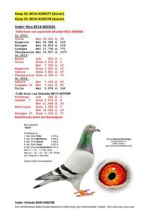 Koop 32: BE16-4104577 (duiver)
Koop 33: BE16-4104578 (duiver)
Vader: Nico BE14-4033241
-Volle broer van supercrack Orlandor BE11-4245806
In 2012:
Tulle Nat 10.251 d. 39
Argenton Nat 22.384 d. 120
Bourges Nat 16.859 d. 159
Limoges Nat 17.735 d. 771
Chateauroux Nat 15.907 d. 1377
In 2013:
Arras Lok 203 d. 1
Tulle Zone 2.572 d. 1
Nat 7.350 d. 12
Argenton Zone 3.455 d. 15
Cahors Zone 2.801 d. 50
Chateauroux Zone 4.390 d. 72
In 2014:
Cahors Nat 7.140 d. 63
Limoges II Nat 7.221 d. 85
Tulle Nat 5.976 d. 142
-Volle broer van Orlandia BE13-4035500
Fontenay Lok 182 d. 1
Gueret I Zone 3.274 d. 8
Nat 11.894 d. 18
Montluçon Zone 3.408 d. 5
Nat 19.296 d. 19
Bourges II Zone 1.319 d. 17
Rechtstreeks Geert Van Renterghem
Vader: Orlando BE09-4280780
Een rechtstreeks Gaby Vandenabeele en volle broer van stammoeder ‘Lieske’. Hij is dus een zoon van
 