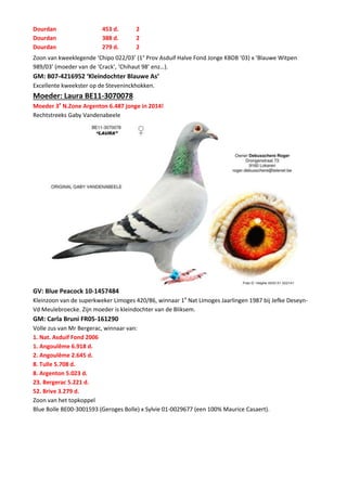 Dourdan 453 d. 2
Dourdan 388 d. 2
Dourdan 279 d. 2
Zoon van kweeklegende ‘Chipo 022/03’ (1° Prov Asduif Halve Fond Jonge KBDB ’03) x ‘Blauwe Witpen
989/03’ (moeder van de ‘Crack’, ‘Chihaut 98’ enz…).
GM: B07-4216952 ‘Kleindochter Blauwe As’
Excellente kweekster op de Steveninckhokken.
Moeder: Laura BE11-3070078
Moeder 3e
N.Zone Argenton 6.487 jonge in 2014!
Rechtstreeks Gaby Vandenabeele
GV: Blue Peacock 10-1457484
Kleinzoon van de superkweker Limoges 420/86, winnaar 1e
Nat Limoges Jaarlingen 1987 bij Jefke Deseyn-
Vd Meulebroecke. Zijn moeder is kleindochter van de Bliksem.
GM: Carla Bruni FR05-161290
Volle zus van Mr Bergerac, winnaar van:
1. Nat. Asduif Fond 2006
1. Angoulême 6.918 d.
2. Angoulême 2.645 d.
8. Tulle 5.708 d.
8. Argenton 5.023 d.
23. Bergerac 5.221 d.
52. Brive 3.279 d.
Zoon van het topkoppel
Blue Bolle BE00-3001593 (Geroges Bolle) x Sylvie 01-0029677 (een 100% Maurice Casaert).
 