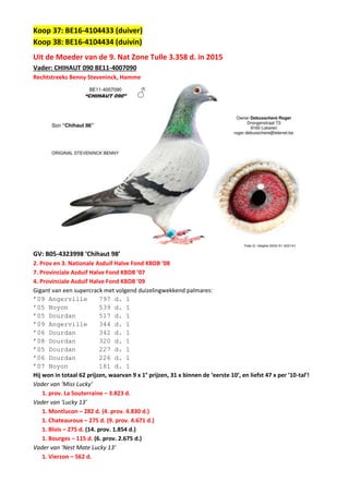 Koop 37: BE16-4104433 (duiver)
Koop 38: BE16-4104434 (duivin)
Uit de Moeder van de 9. Nat Zone Tulle 3.358 d. in 2015
Vader: CHIHAUT 090 BE11-4007090
Rechtstreeks Benny Steveninck, Hamme
GV: B05-4323998 ‘Chihaut 98’
2. Prov en 3. Nationale Asduif Halve Fond KBDB ’08
7. Provinciale Asduif Halve Fond KBDB ’07
4. Provinciale Asduif Halve Fond KBDB ’09
Gigant van een supercrack met volgend duizelingwekkend palmares:
’09 Angerville 797 d. 1
’05 Noyon 539 d. 1
’05 Dourdan 517 d. 1
’09 Angerville 344 d. 1
’06 Dourdan 342 d. 1
’08 Dourdan 320 d. 1
’05 Dourdan 227 d. 1
’06 Dourdan 226 d. 1
’07 Noyon 181 d. 1
Hij won in totaal 62 prijzen, waarvan 9 x 1° prijzen, 31 x binnen de ‘eerste 10’, en liefst 47 x per ’10-tal’!
Vader van ‘Miss Lucky’
1. prov. La Souterraine – 3.823 d.
Vader van ‘Lucky 13’
1. Montlucon – 282 d. (4. prov. 4.830 d.)
1. Chateauroux – 275 d. (9. prov. 4.671 d.)
1. Blois – 275 d. (14. prov. 1.854 d.)
1. Bourges – 115 d. (6. prov. 2.675 d.)
Vader van ‘Nest Mate Lucky 13’
1. Vierzon – 562 d.
 