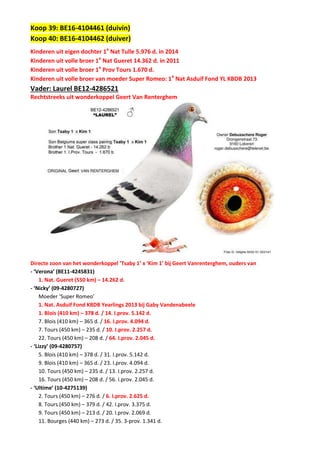 Koop 39: BE16-4104461 (duivin)
Koop 40: BE16-4104462 (duiver)
Kinderen uit eigen dochter 1e
Nat Tulle 5.976 d. in 2014
Kinderen uit volle broer 1e
Nat Gueret 14.362 d. in 2011
Kinderen uit volle broer 1e
Prov Tours 1.670 d.
Kinderen uit volle broer van moeder Super Romeo: 1e
Nat Asduif Fond YL KBDB 2013
Vader: Laurel BE12-4286521
Rechtstreeks uit wonderkoppel Geert Van Renterghem
Directe zoon van het wonderkoppel ‘Tsaby 1’ x ‘Kim 1’ bij Geert Vanrenterghem, ouders van
- ‘Verona’ (BE11-4245831)
1. Nat. Gueret (550 km) – 14.262 d.
- ‘Nicky’ (09-4280727)
Moeder ‘Super Romeo’
1. Nat. Asduif Fond KBDB Yearlings 2013 bij Gaby Vandenabeele
1. Blois (410 km) – 378 d. / 14. I.prov. 5.142 d.
7. Blois (410 km) – 365 d. / 16. I.prov. 4.094 d.
7. Tours (450 km) – 235 d. / 10. I.prov. 2.257 d.
22. Tours (450 km) – 208 d. / 64. I.prov. 2.045 d.
- ‘Lizzy’ (09-4280757)
5. Blois (410 km) – 378 d. / 31. I.prov. 5.142 d.
9. Blois (410 km) – 365 d. / 23. I.prov. 4.094 d.
10. Tours (450 km) – 235 d. / 13. I.prov. 2.257 d.
16. Tours (450 km) – 208 d. / 56. I.prov. 2.045 d.
- ‘Ultime’ (10-4275139)
2. Tours (450 km) – 276 d. / 6. I.prov. 2.625 d.
8. Tours (450 km) – 379 d. / 42. I.prov. 3.375 d.
9. Tours (450 km) – 213 d. / 20. I.prov. 2.069 d.
11. Bourges (440 km) – 273 d. / 35. 3-prov. 1.341 d.
 