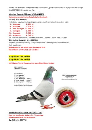 Dochter van sterkweker Rik BE03-6257098 (vader van Tia, grootvader van Jetje en Olympiadeduif Gaston) x
Beja BE07-6242318 (moeder van Tia).
Moeder: Double Bliksem BE15-3147738
Kleindochter wonderkweker Rudy Gaby Vandenabeele
GV: Billy BE07-4162252
Fantastische topvlieger met op zijn palmares provinciale en nationale kopprijzen zoals:
4. Limoges 2.216 d.
4. Bourges 7.934 d.
4. Nat Bourges 27.506 d.
5. Limoges 2.081 d.
21. Bourges 3.921 d.
40. Argenton 4.544 d.
Zelf zoon van Zoon Witpen Casaert BE02-4408088 x Dochter Crusson BE05-4147234.
GM: Dochter Rudy 003 BE14-3067003
Daughter wonderkweker Rudy - Gaby Vandenabeele x Helena (zoon x dochter Bliksem).
Rudy is vader van:
Super Romeo: 1. Nat Asduif Fond Jaarse KBDB 2013
New Bliksem: 1. Nat Tulle 5.731 d. in 2014
Koop 47: BE16-4104617
Koop 48: BE16-4104618
100% Gaston Van de Wouwer uit de succeslijnen Noor x Barbara
Vader: Beauty Gaston BE12-6023397
Zoon van stervliegster Barbara: 3 x 1e
Provinciaal
Rechtstreeks Gaston Van de Wouwer
GV: Dirk BE10-6297742
 