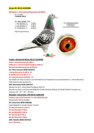 Koop 49: BE16-4104386
Kleinkind 1. Internationaal Barcelona 25.382 d.
Vader: Diamond Wiels NL13-1219583
Zoon 1. Intnat Barcelona 25.382 d.
Halfbroer 1. Internat Asduif Perpignan 2010-11
Rechtstreeks Batenburg-Van de Merwe
GV: New Laureaat BE08-2222675
1.Intnat Barcelona 25.382 d. ’13
8. Nat Barcelona 12.281 d. ’11
41. Intnat Barcelona 26.650 d. ’11
De moeder van New Laureaat is een kleindochter van kweekicoon Laureaat Barcelona: 1. Intnat Barcelona
1995 bij de familie Gyselbrecht.
GM: Diamantje NL08-1487710
Moeder van de 1. Intnat Asduif Perpignan 2010-11
Dochter van Zoon Euro Diamond DV06720-07-936 x Dochter Witbuik 153 NL04-1993157 (moeder van
winnaars 19e
– 45e
– 63e
– 76e
Nat.)
Moeder: Geronimo 193 BE14-4285193
Dochter supercrack Geronimo: 5 x Top-100 Nationaal
Rechtstreeks Patrick Houfflijn
GV: Geronimo BE00-4282486
Supervliegduif en wonder kweker, hij won
10. Nat Carcassonne 3.911 d.
35. Nat Marseille 5.738 d.
44. Nat Marseille 5.195 d.
87. Nat Orange 6.751 d.
89. Nat Marseille 4.398 d.
GM: Fideelke BE08-3037623
Zus 7e
Nat Brive.
 
